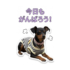 NicoRe_20260512115000