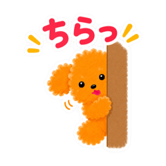 Moke 1