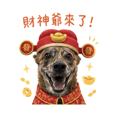 斑比part2-2