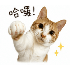 張樂樂的第一次