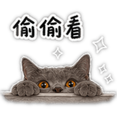 島輝公主