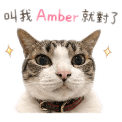 毛毛毛小孩