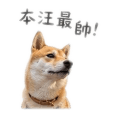 《人類請注意：酷吉已入侵》
