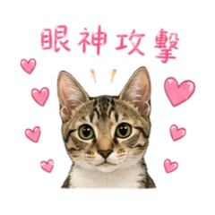 想想的甜蜜爆擊