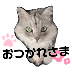 satou_20260512100451