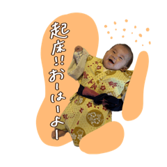 opa_20260512101236
