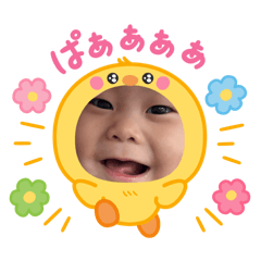 mameco_20260512101411