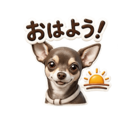 foochan_20260512101957