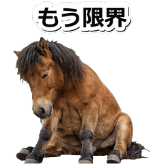 馬極限1