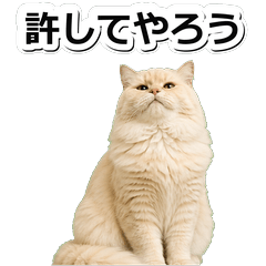 奶油布偶貓鹽系 1☆