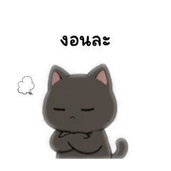MochiMeow_20260422165057