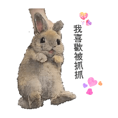 My Bunny Dodo