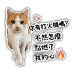 嗚嗚2.00