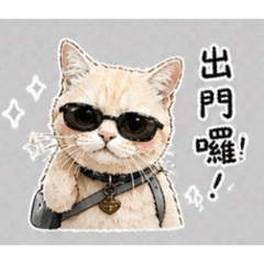 傲嬌的小橘