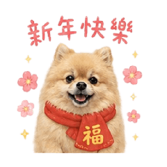 博美瑞瑞-節慶&祝福