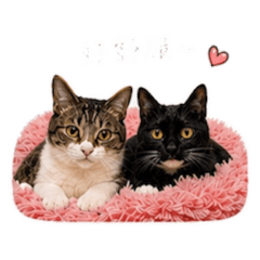 倒灰與粉圓
