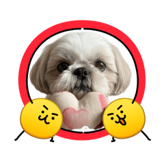 megumimi_20260512103835