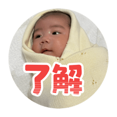 kijibato-kecha_20260512104313