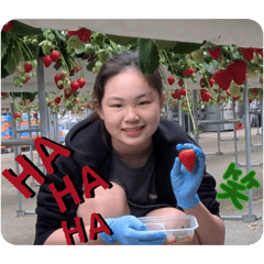 nk_20260512110123