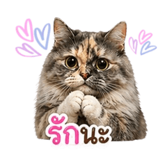 Nutzzy_20260428173403