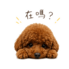 Coco 很鬧日常