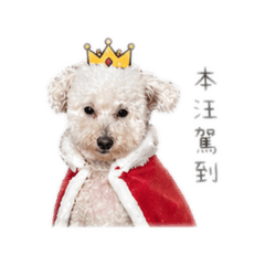 歐膩老寶寶