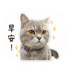 Rudy小帥哥