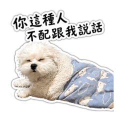 百變發發