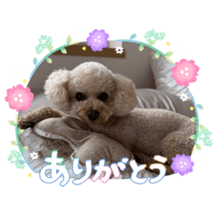 kana collection_20260502211433