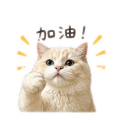 豆豆暈船