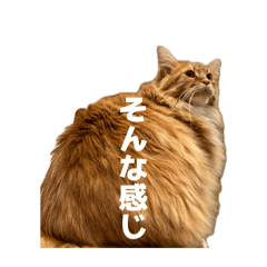 Nobuhide Kashiba_20260512111247