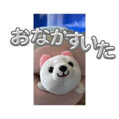 mamechan_20260502205832
