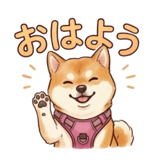 nanakosan_20260512112505