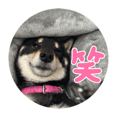 masafumi_20260512124219