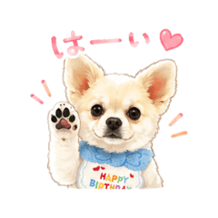bell_20260512124640