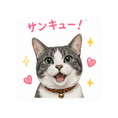 Waka Ver1.1