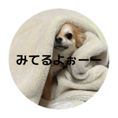 rito_20260512125701