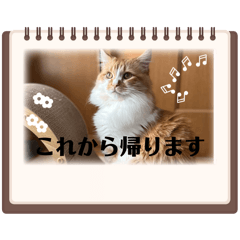mugi_20260512125022