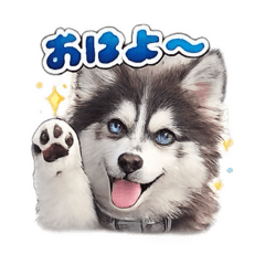 hey_20260512130017