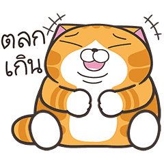 เหมียวซ่า: เจ้าพ่อคำพ้อง