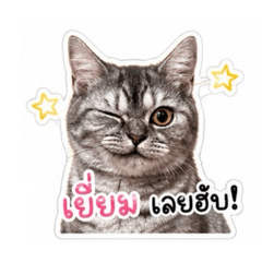 Enter OK_20260428173628