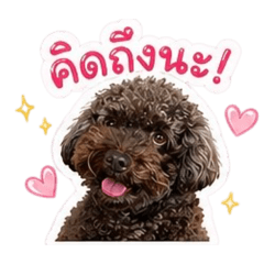 Nubaii_20260428173811