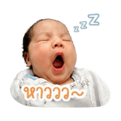 janeped_20260428174049