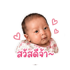 CuteCut Studio_20260428174009