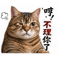 呼呼寶寶2