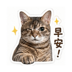 呼呼寶寶