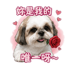 搜拉的小世界