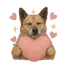 RuRu  ▼•ᴥ•▼