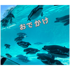 Keita_20260502
