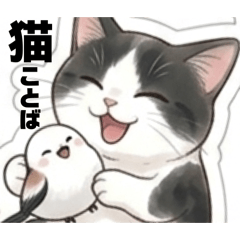 odayakamaigo_20260512104707